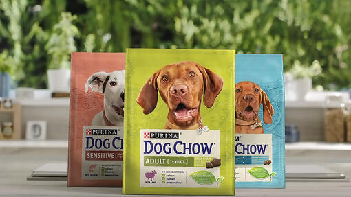 Упаковки Dog Chow