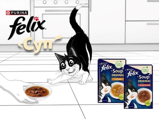 Кіт Felix поруч з мискою та упаковками супу