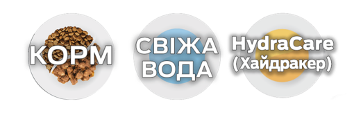Третя миска