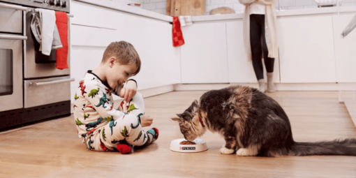 Дитина спостерігає за тим, як кіт споживає корм з миски