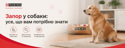Запор у собаки